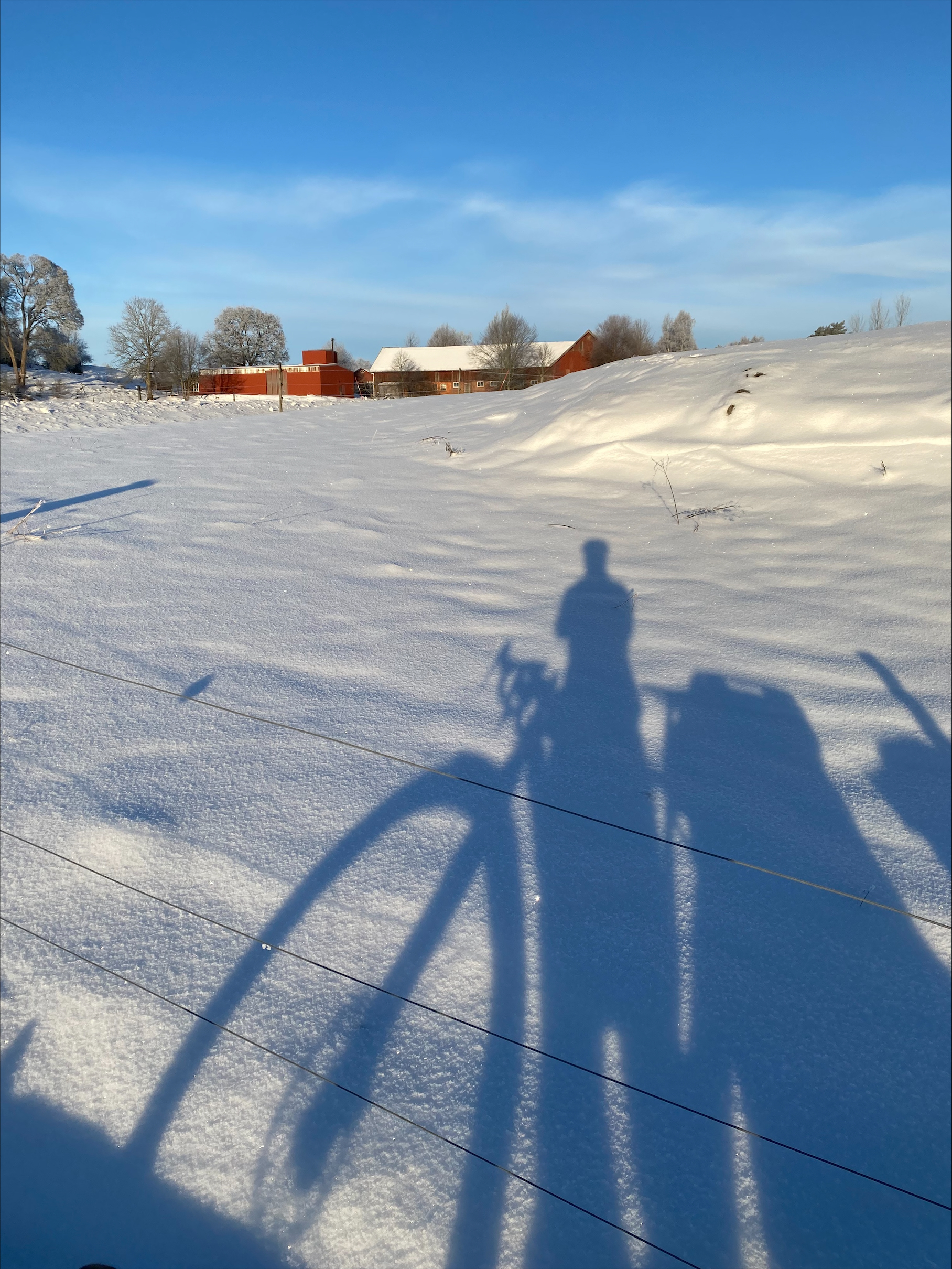 Vinterhälsning från Stina i Team SHe Rides